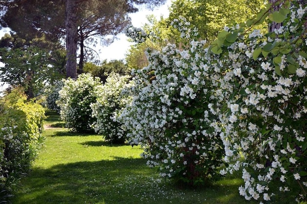 Gallery - Villa Cimbrone