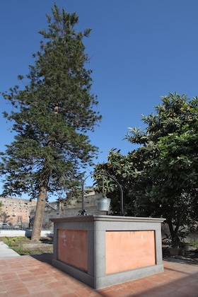 Gallery - The Garden In The City Center