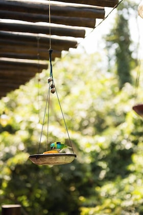 Gallery - Kalango Hotel Boutique