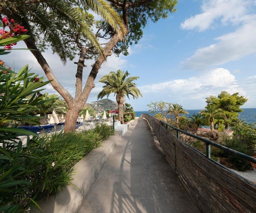 Gallery - Hotel Apollon