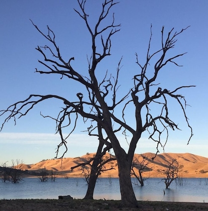 Gallery - Burnt Creek Cottages Mansfield