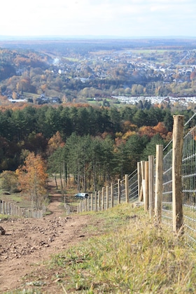 Gallery - Mont-Des-Pins Dennenheuvel