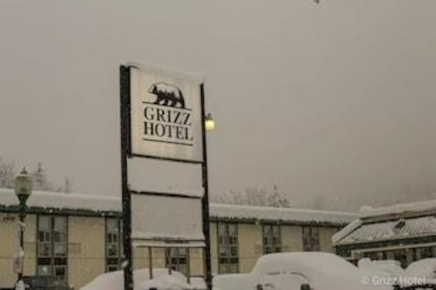 Gallery - Grizz Hotel