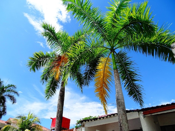 Gallery - Alborada Hotel Melgar