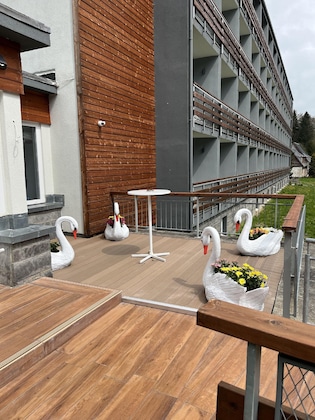 Gallery - Hotel Schwarzbachtal Hideaway