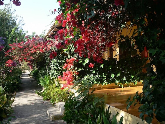 Gallery - Finca Hotel Predio Son Serra