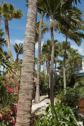 Gallery - Paradera Park Aruba