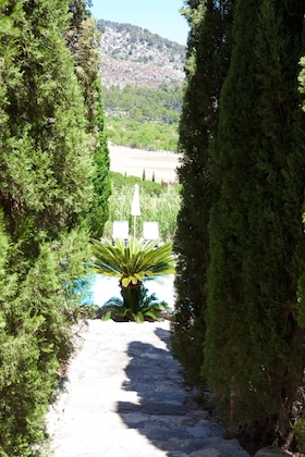 Gallery - Finca Son Ametler
