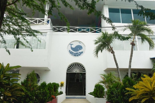 Gallery - La Ballena Azul Hotel