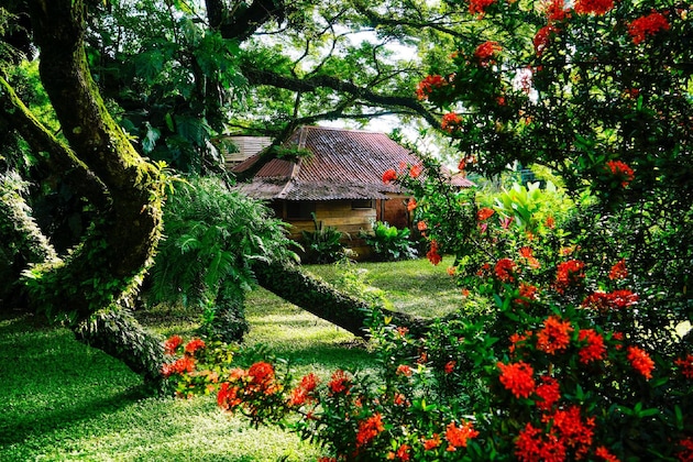 Gallery - Ecovital Costa Rica