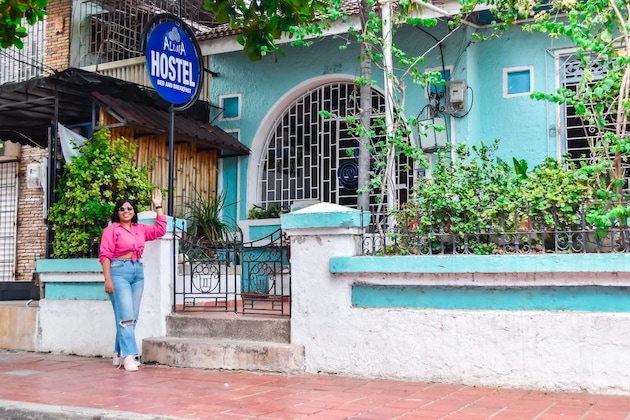 Gallery - Aluna Hostel B&B