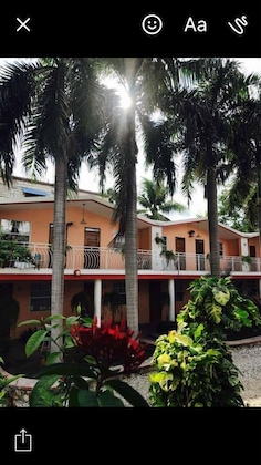 Gallery - Palm Inn Hotel