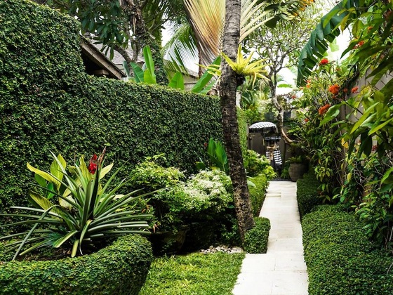 Gallery - Villa Jajaliluna