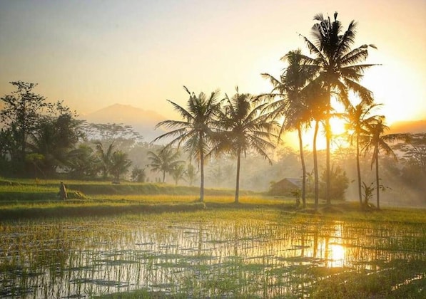 Gallery - Villa Puri Darma Agung