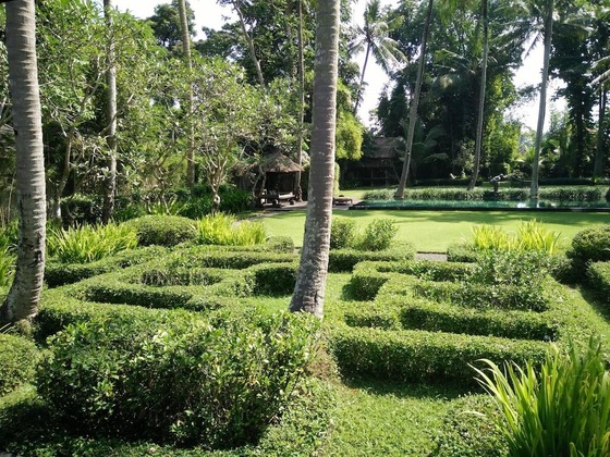 Gallery - Puri Tupai