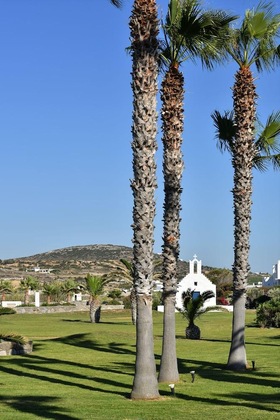 Gallery - Astir Of Paros