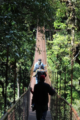 Gallery - Tree Trek Boquete Adventure Park
