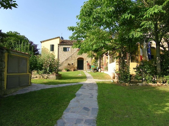 Gallery - L'ippocastano