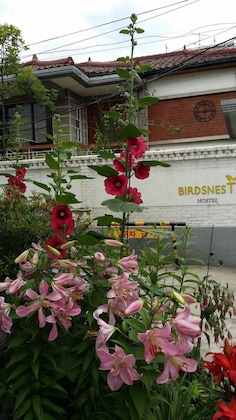 Gallery - Birdsnest Hostel Hongdae