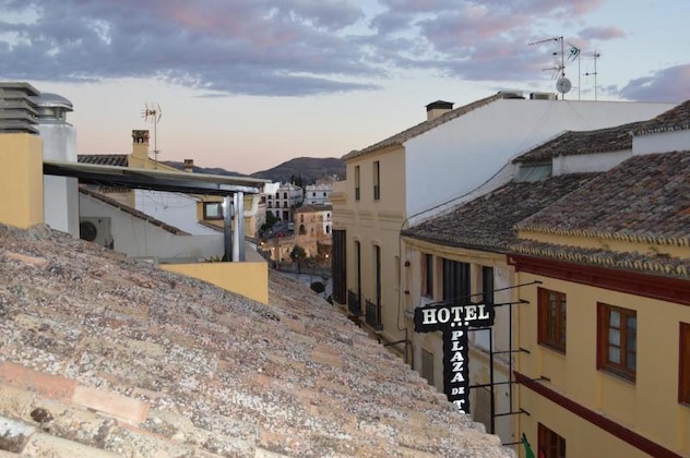Gallery - Don Javier