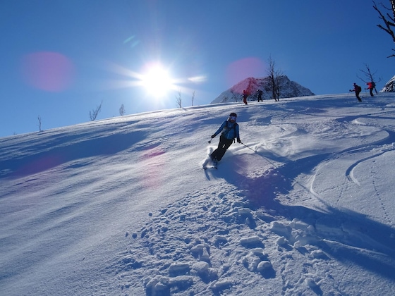 Gallery - Arctic Panorama Lodge