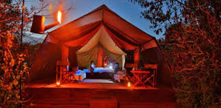 Gallery - Leopard Trails Yala