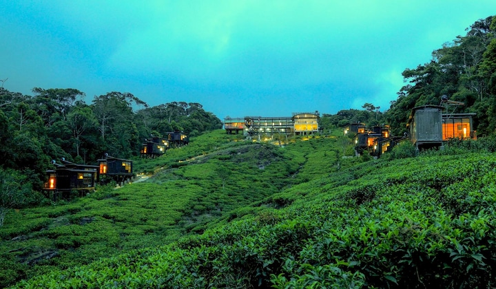Gallery - The Rainforest Ecolodge