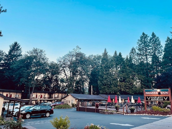 Gallery - Shasta Inn