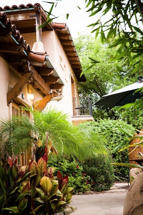 Gallery - Blue Iguana Inn