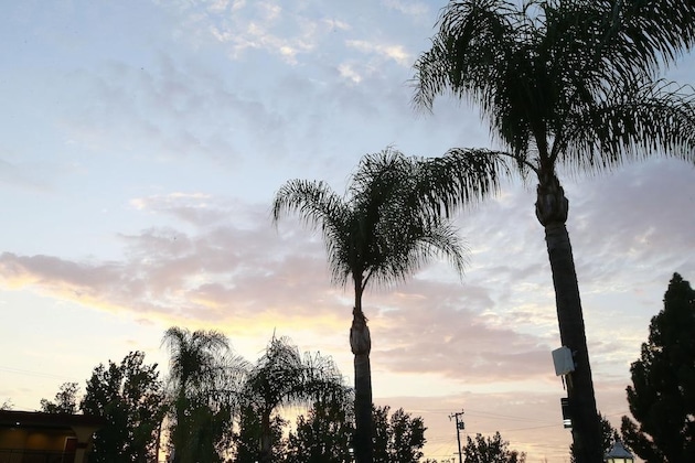 Gallery - Sky Palm Motel
