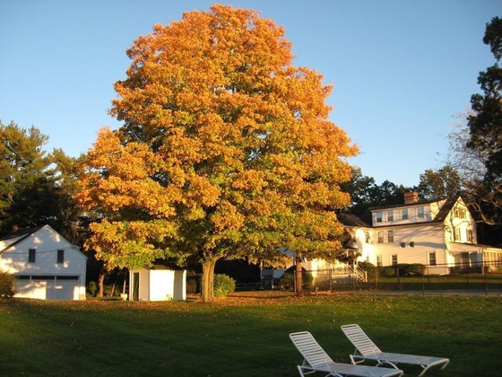 Gallery - Historic Jacob Hill Inn