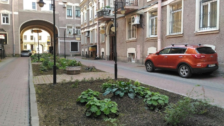 Gallery - Nevsky Contour