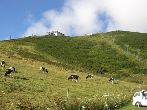Gallery - Il Bosco