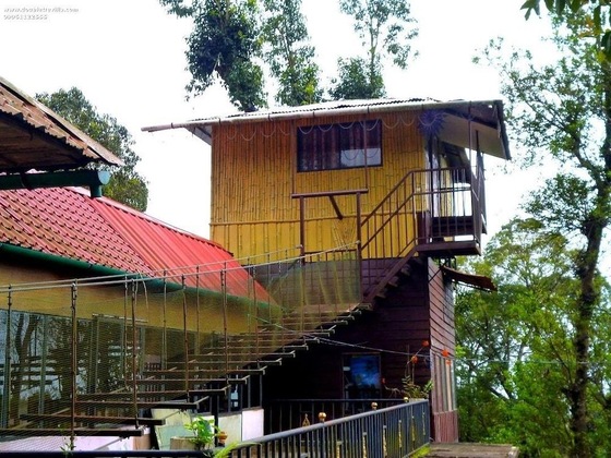 Gallery - Double Tree Villa