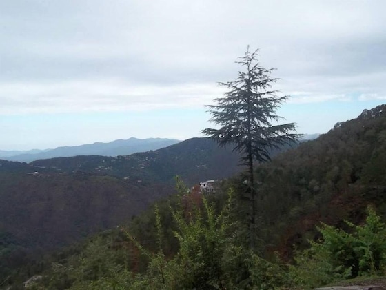 Gallery - Fishermen's Lodge - A Lake Facing Hotel Near Nainital