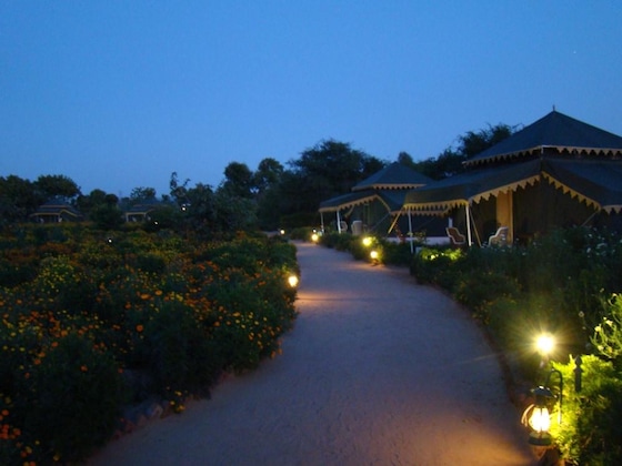 Gallery - Orchard Tents & Tranquility- Glamping