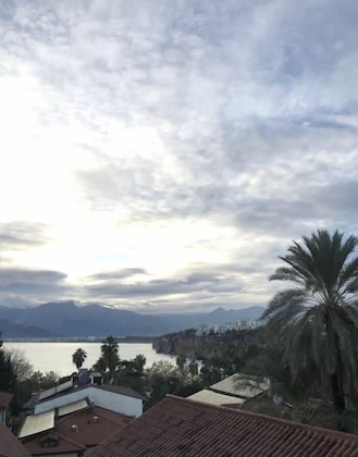 Gallery - Villa Tulipan