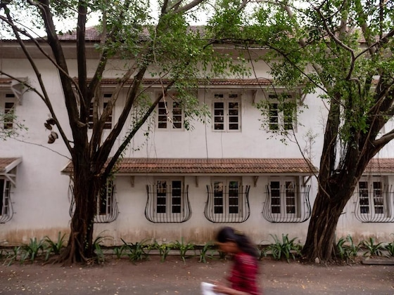 Gallery - Le Colonial 1506