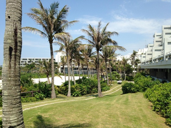 Gallery - Palace In Moon Beach