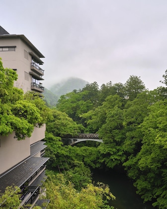 Gallery - Hanamurasaki