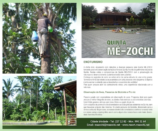 Gallery - Me-Zochi