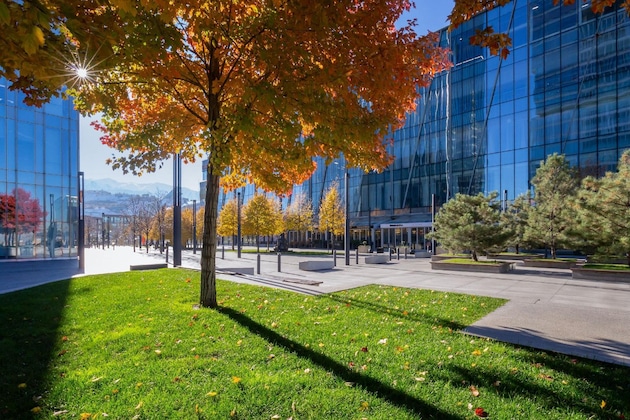 Gallery - The Ritz-Carlton