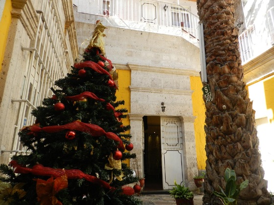 Gallery - La Casa de Margott