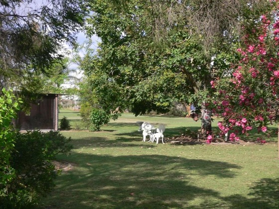 Gallery - Chinchilla Motel