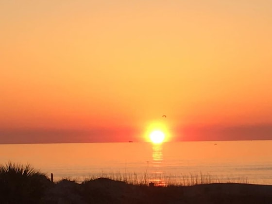 Gallery - Hotel Tybee