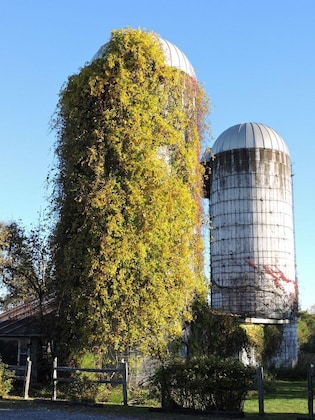 Gallery - Saratoga Farmstead B&B