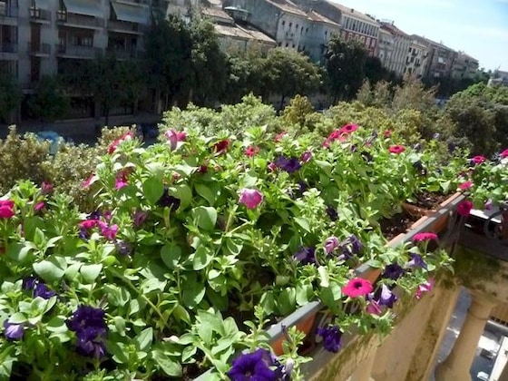 Gallery - Albergo Trento