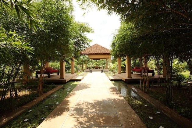 Gallery - Tuli Tiger Corridor