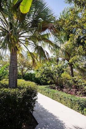 Gallery - Pine Cay, Turks And Caicos
