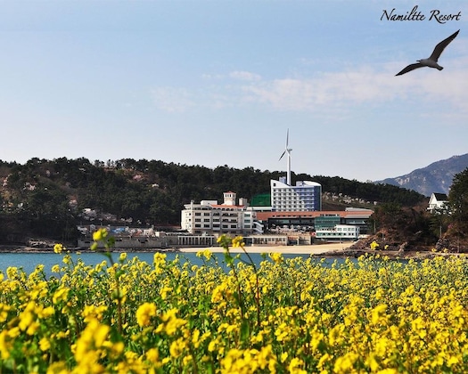 Gallery - Namiltte Resort